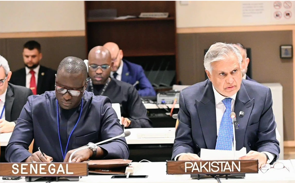 فلسطینیوں کے حقوق کیلئے مسلم امہ کو یک زبان ہونا ہو گا، اسحاق ڈار